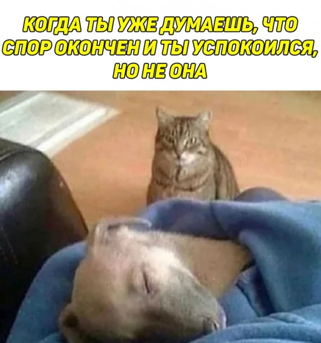Немного картинок для настроения - 161