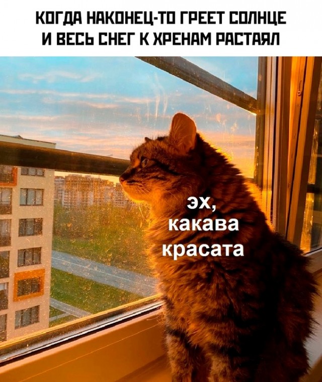 Весёлый полтишок 16.04.23