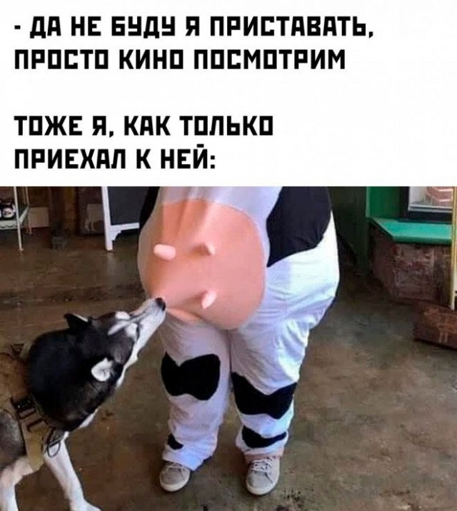 Картинки и мемы для настроения - 167