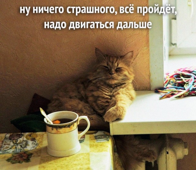 Картинки и мемы, всяко разно - 185