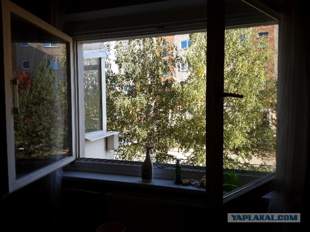 Рязань - Сасово из кабины машиниста