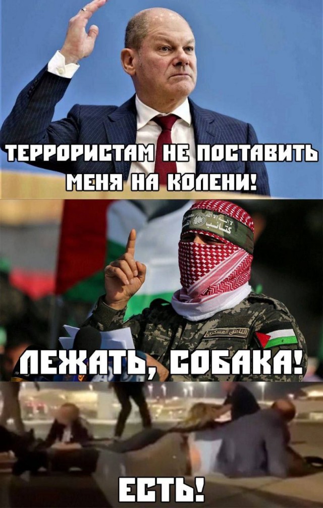 Школа джедаев. Начало