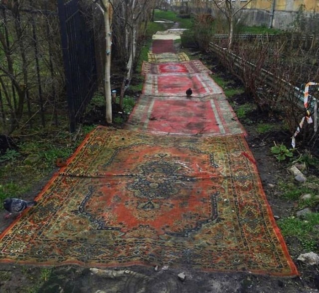 Фотосмесь 22.11.23