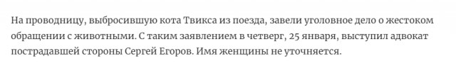 В отношении проводницы возбудили уголовное дело