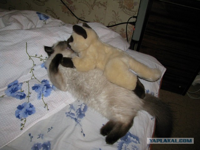 Поработал,можно и поесть)))