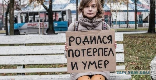 Племянник Кадырова Адам Черхигов стал министром транспорта Чечни