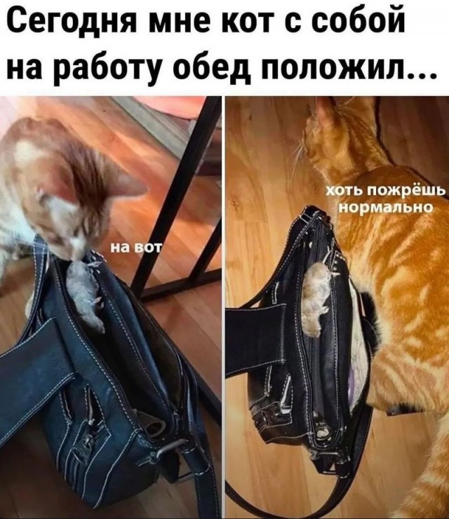 Завалялось тут случайно немного забавных картинок