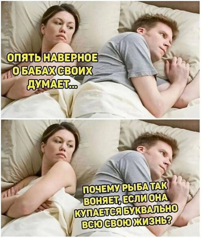 Всего понемногу. От 05.08.24