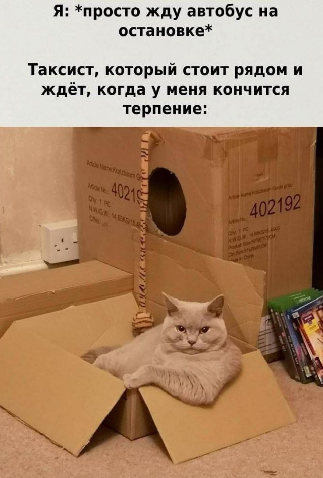 Завалялось тут случайно немного забавных картинок