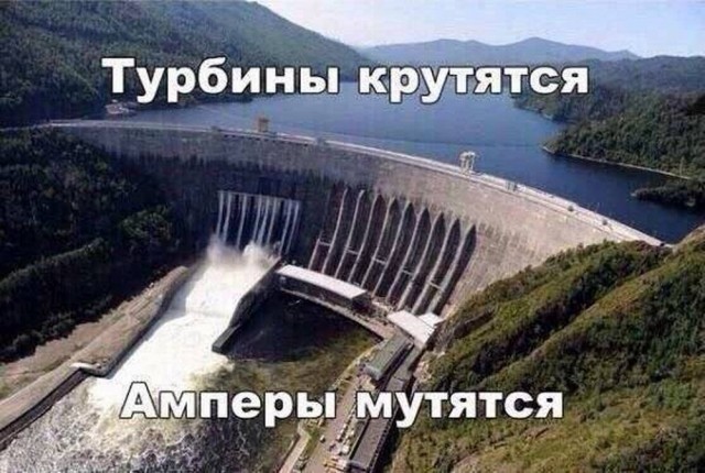 Немного забавных картинок от 01.09.2024