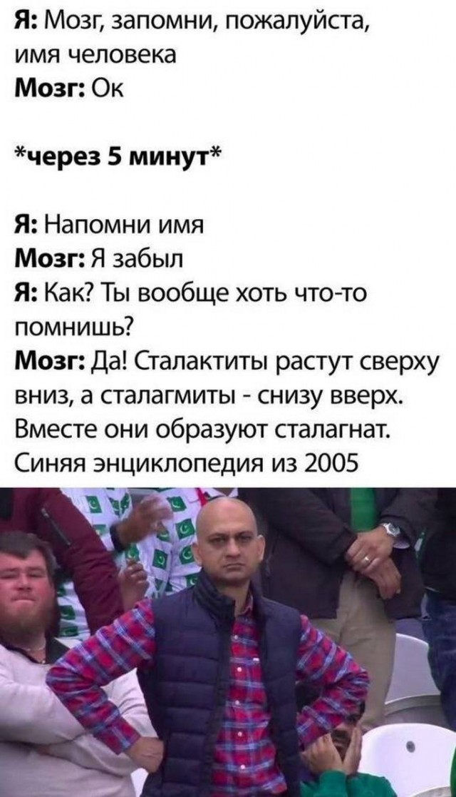Немного забавных картинок от 13.10.2024