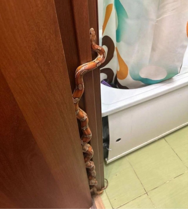 Вот это встреча