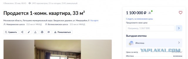 Пицца от босса или гарантии