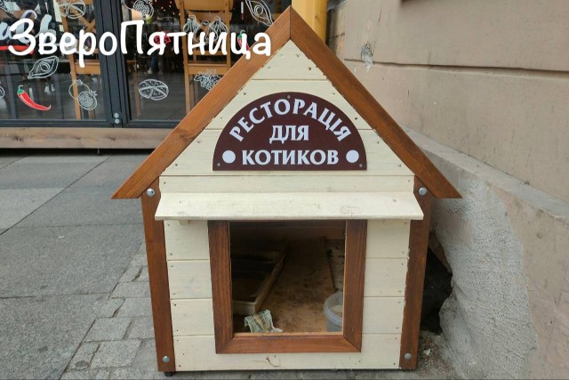 Немножко Хемингуэя вам в ленту