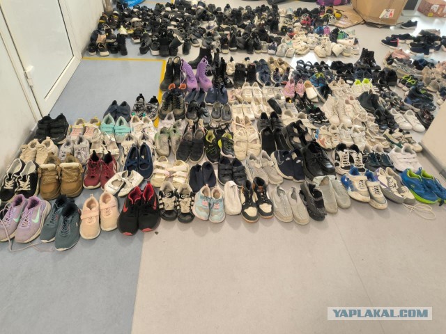 Дети потеряли