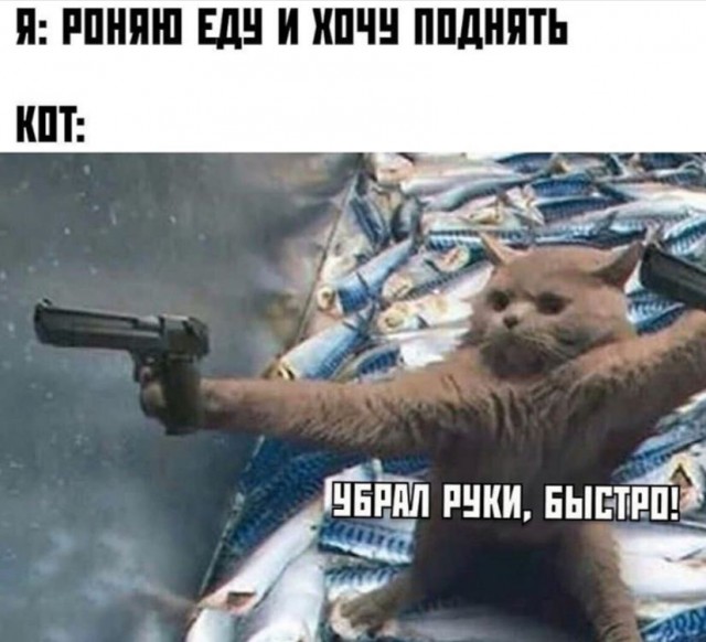 Картинки для деградации 8 ( разной степени свежести)
