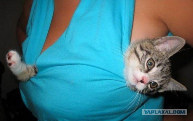 Девочки, снимайте лифчик