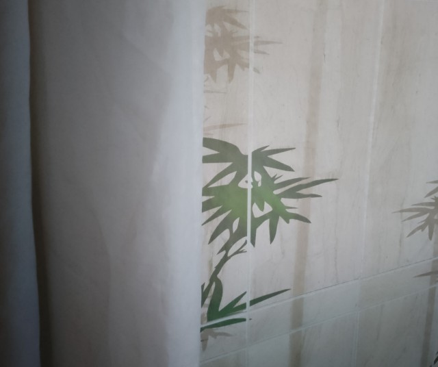 Я сижу в сортире