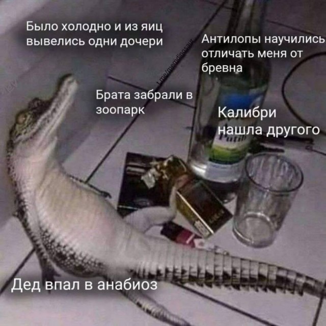 Картинки всякие разные невпопад