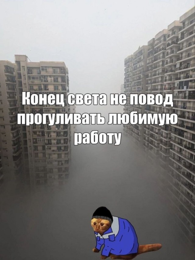 Так себе картинки 10.11.25