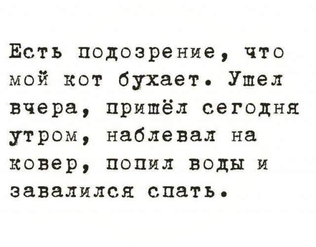 Кошачья Любовь