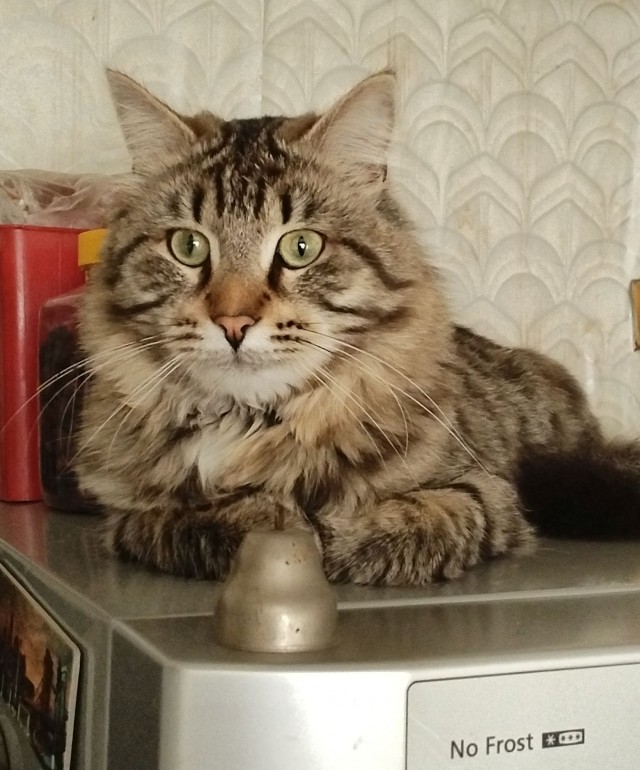 Меркантильная