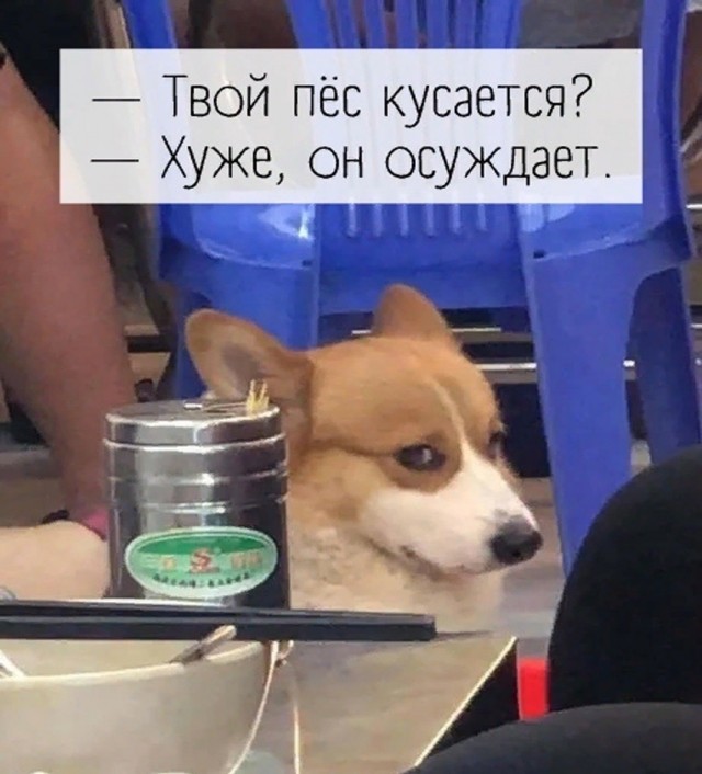 Воскресные картинки