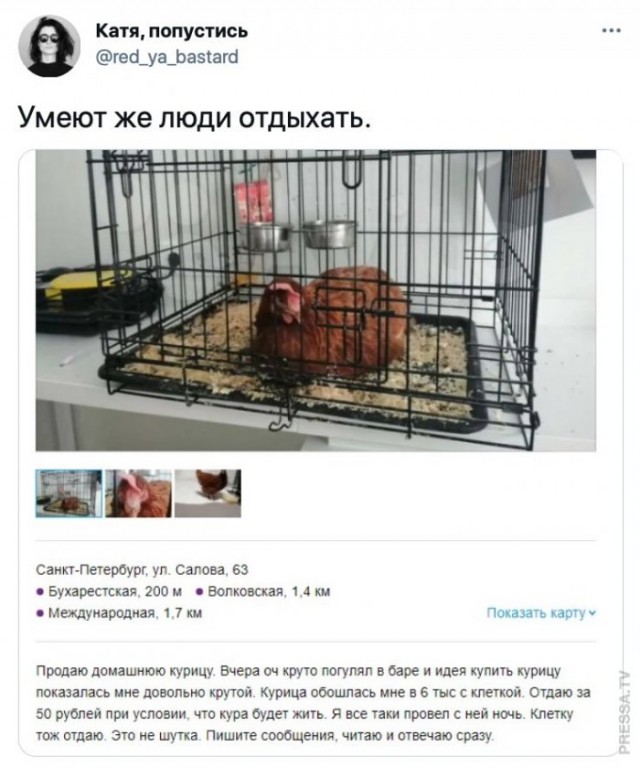 Веселые картинки в маленькую пятницу (24.12)