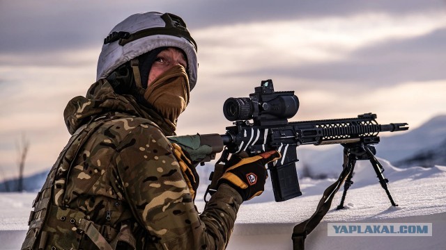 Британия может отправить войска в Гренландию