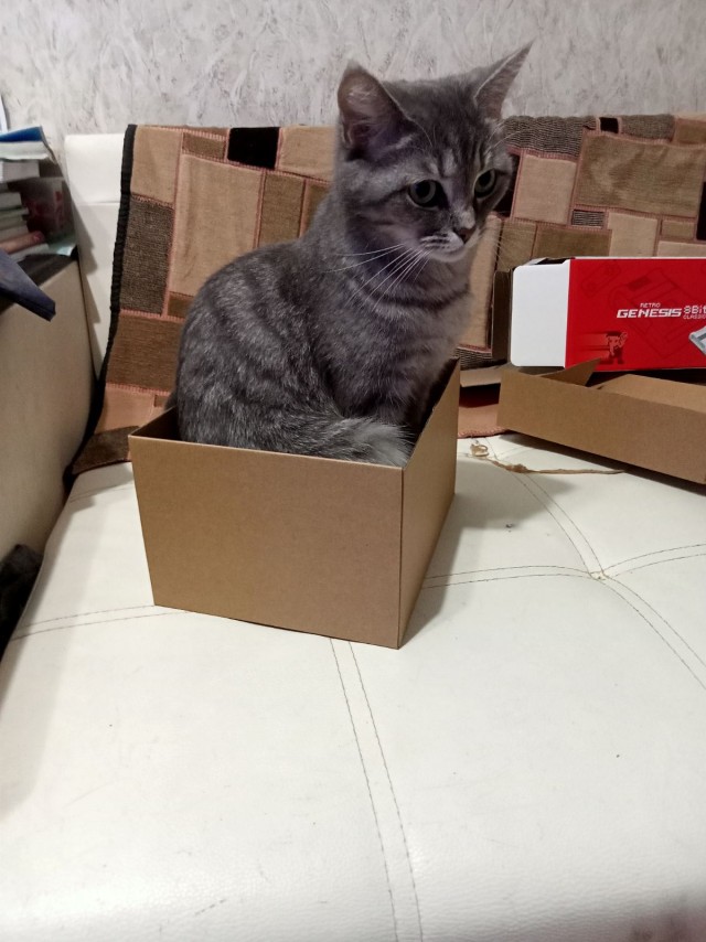 Котокоробковое