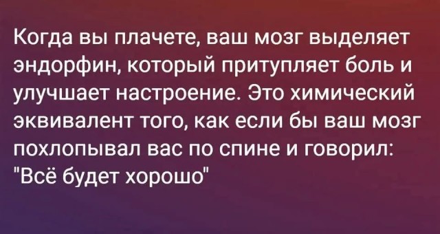 Потная гамсахурдия №1 (Картинки)
