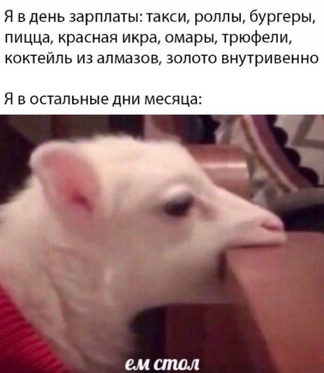 Субботние картинки