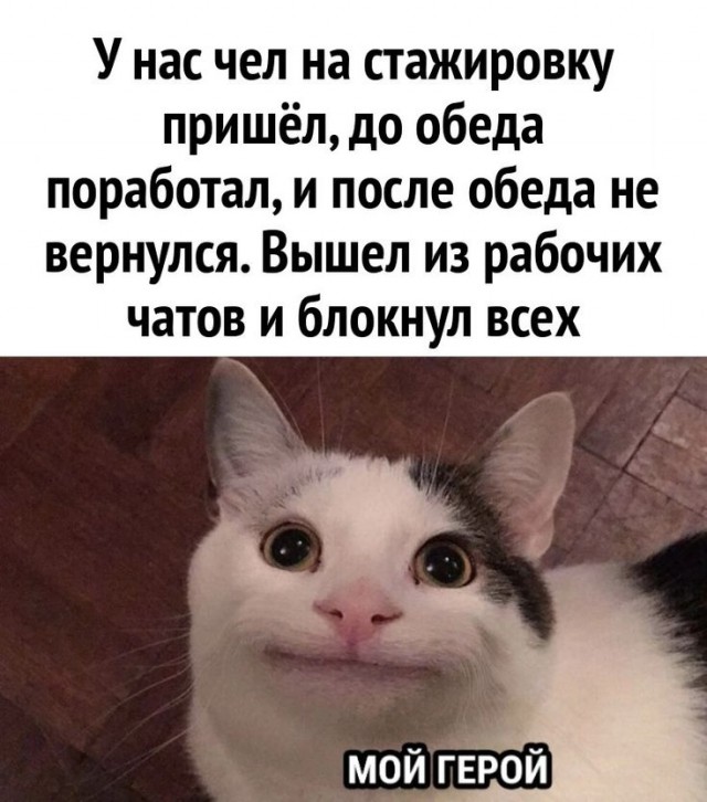 Картинки для деградации 151 (разной степени свежести)
