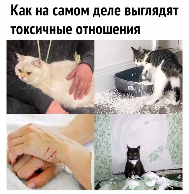 Вторника картинки