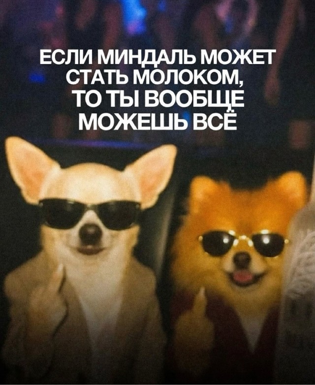 Четверговые картинки