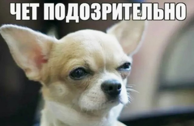Сегодня отмечается Международный день алкоголя в рабочее время
