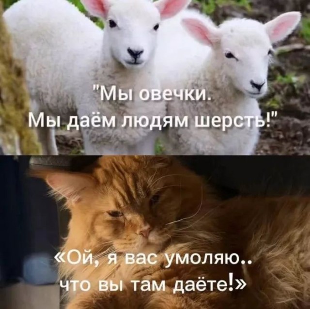 Пятничные тРРРидцать тРРРи от 29 мая