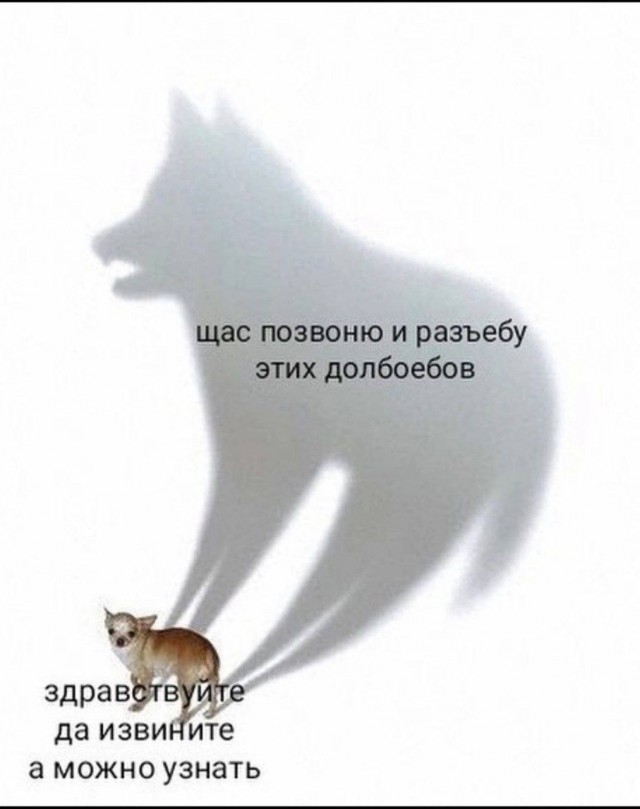 Картинки для деградации 288 (разной степени свежести)