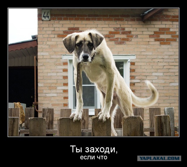 Маша и медведь отдыхают