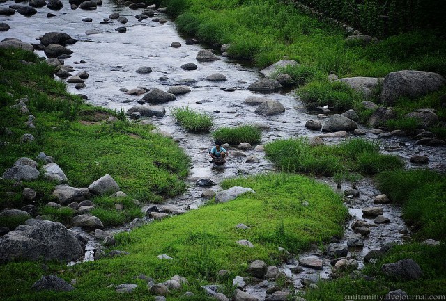 КНДР приоткрыла экспортные ворота для РФ