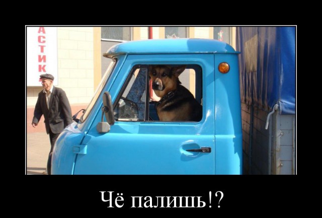 Горячие демотиваторы