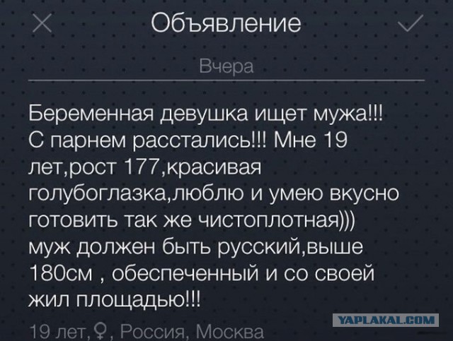 Смешные комментарии из социальных сетей 11.11.2014