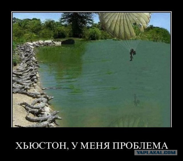 Весёлое из сети