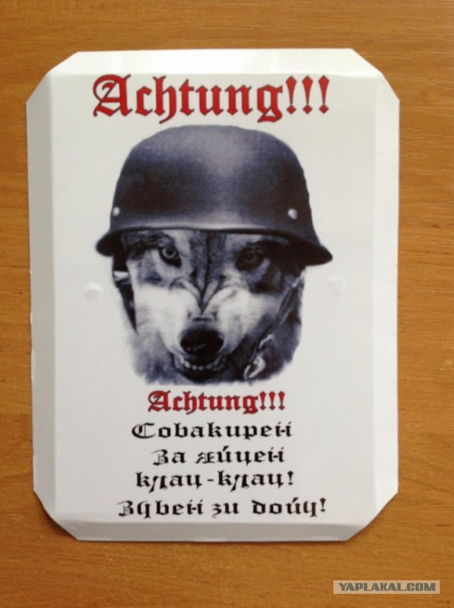 Лажи