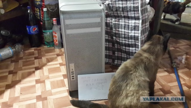 Айфон головного мозга