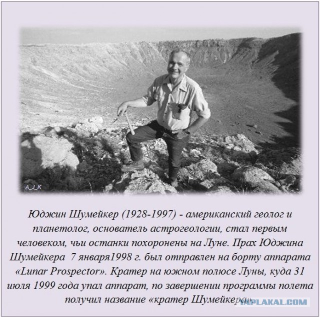 20 фактов обо всем