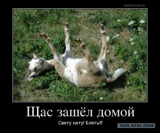 Щас зашёл домой Света нету!