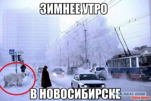 Мнение калининградца о Новосибирске