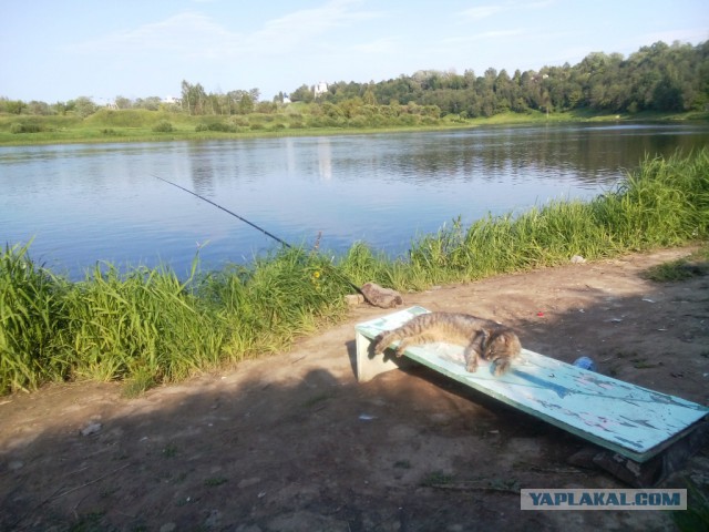 Охотница