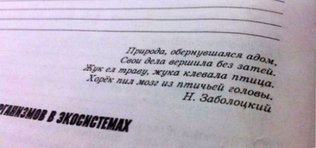 Маразмы из школьных учебников